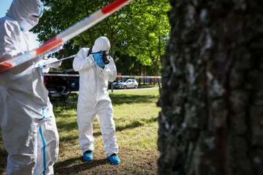 Oględziny na miejscu napaści - Aktualności Policja Świętokrzyska