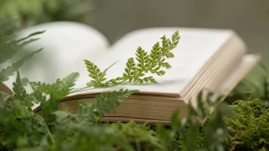 Kielce sprzed tysiąca lat wróciły do biblioteki. Tak zaczęła się opowieść