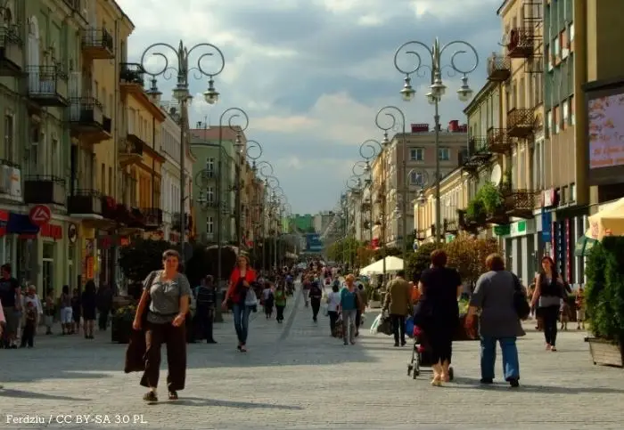 Konkurs ofert na wsparcie rodziny i pieczy zastępczej w 2024 roku