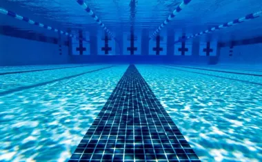 VI LO triumfuje na Fokach – 130 uczniów otworzyło Mistrzostwa Kielc w pływaniu