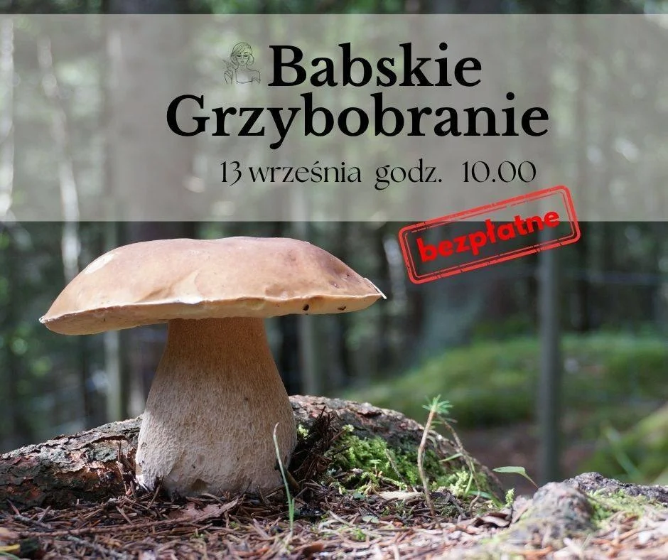 Grafika promocyjna wydarzenia Babskie Grzybobranie – leśna wyprawa