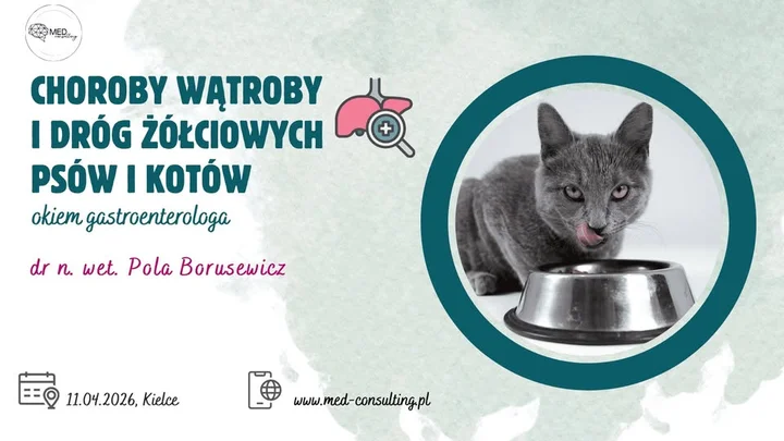 Grafika promocyjna wydarzenia Choroby wątroby i dróg żółciowych psów i kotów okiem gastroenterologa