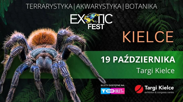 Obrazek przedstawia grafikę promocyjną wydarzenia Jesienna edycja targów miłośników zwierząt egzotycznych i roślin w Kielcach