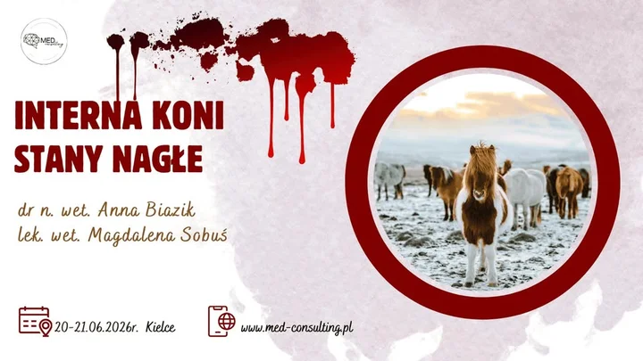 Grafika promocyjna wydarzenia INTERNA KONI - Stany nagłe — dwudniowe szkolenie dla lekarzy weterynarii