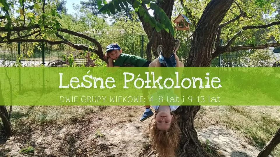 Grafika promocyjna wydarzenia Leśne Półkolonie 2026 w Kielcach