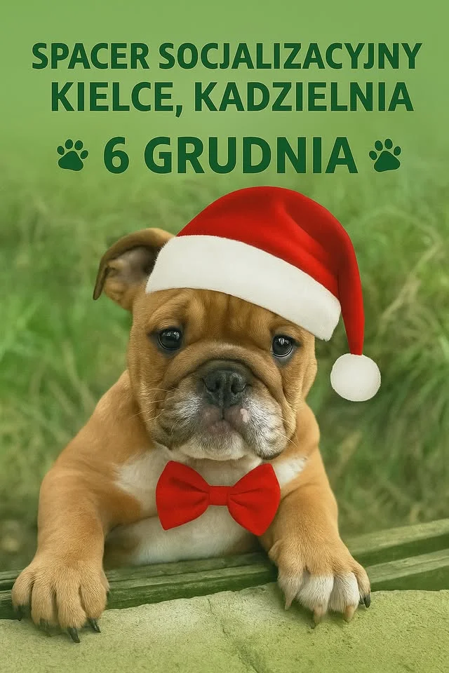 Grafika promocyjna wydarzenia Spacer socjalizacyjny – Poznajmy się KIELCE