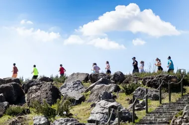 Grafika promocyjna wydarzenia Botaniczna Piątka Kielce – wiosenna edycja w Ogrodzie Botanicznym
