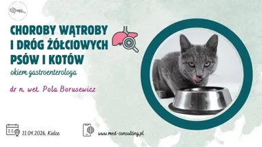 Grafika promocyjna wydarzenia Choroby wątroby i dróg żółciowych psów i kotów okiem gastroenterologa