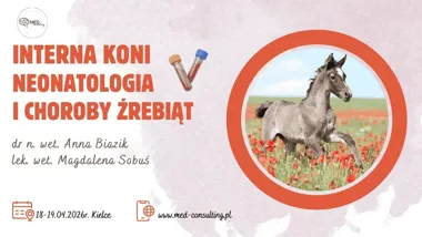 Grafika promocyjna wydarzenia INTERNA KONI – Neonatologia i choroby źrebiąt: dwudniowe szkolenie dla lekarzy weterynarii
