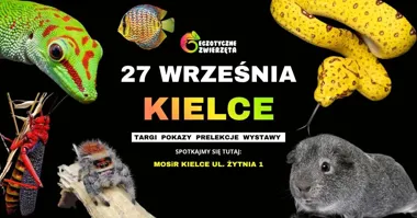 KIELCE 27 WRZEŚNIA – Egzotyczne zwierzęta