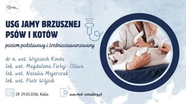 Grafika promocyjna wydarzenia USG jamy brzusznej psów i kotów — poziom podstawowy i średniozaawansowany