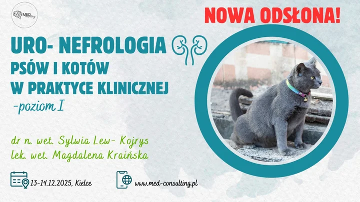 Obrazek przedstawia grafikę promocyjną wydarzenia Podstawy uro-nefrologii małych zwierząt — kurs praktyczny poziom I