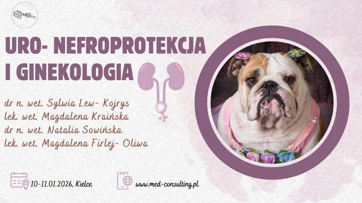 Grafika promocyjna wydarzenia Uro- nefroprotekcja i ginekologia — praktyczne szkolenie weterynaryjne w Kielcach