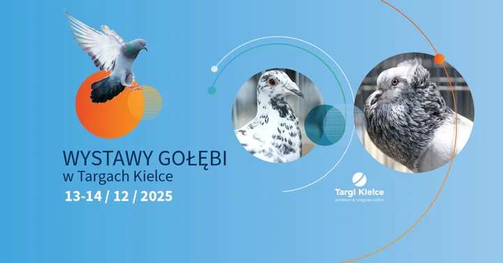 Grafika promocyjna wydarzenia Wystawa gołębi w Targach Kielce — Krajowa i świętokrzyska ekspozycja gołębi rasowych