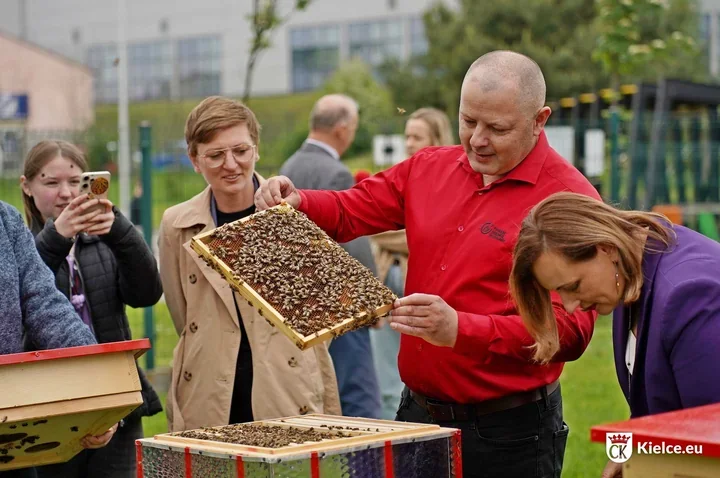 W Kielcach stanęły ule z pralki. To nowa lekcja recyklingu