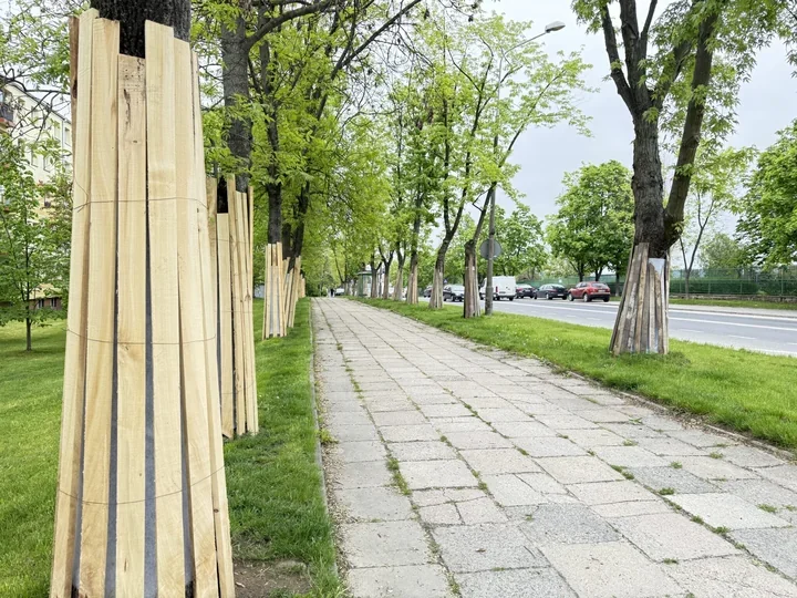 Nowe ścieżki rowerowe w Kielcach. Zmiany ruszą na Bohaterów Warszawy