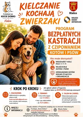 Bezpłatna kastracja i czipowanie w Kielcach. Są talony dla psów i kotów