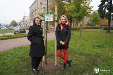Nowy klon na skwerze w Kielcach. Ma przypominać o projekcie z siedmiu krajów
