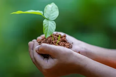 Kielce szukają szkolnych pomysłów na Dzień Ziemi i dorzucają sadzonki