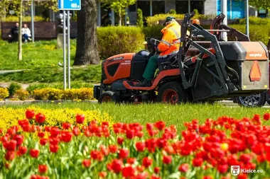 Pierwsze koszenie traw w Kielcach ruszyło od newralgicznych skrzyżowań