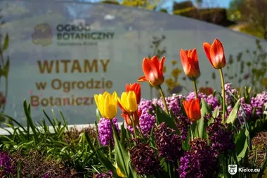 W Ogrodzie Botanicznym rusza sezon. Majówka pełna kwiatów i ogniska