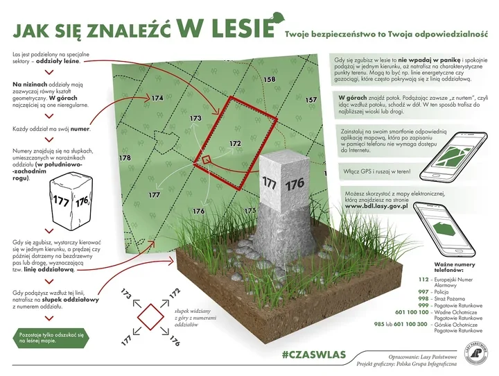 Jedna chwila w lesie może skończyć się akcją służb. Policja ostrzega