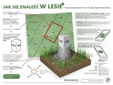 Jedna chwila w lesie może skończyć się akcją służb. Policja ostrzega