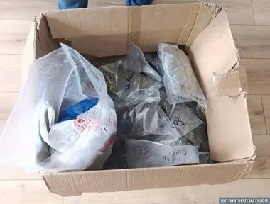 Ponad 11 kilogramów marihuany w domu pod Kielcami - dwóch 32-latków w areszcie