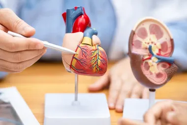 Transplantologia w Kielcach. Konferencja dla mieszkańców i medyków