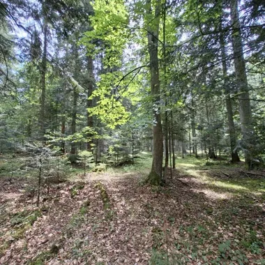Nowy rezerwat i większe Białe Ługi. W powiecie kieleckim przybyło ochrony