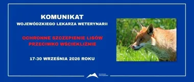 Szczepionki dla lisów będą zrzucane z samolotów w całym regionie